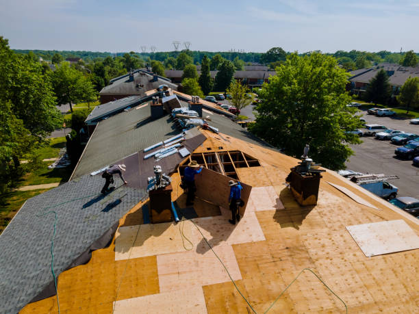Trusted Storm Damage Roof Repair service in Ellerslie, GA - Brentwood Metal Roofing